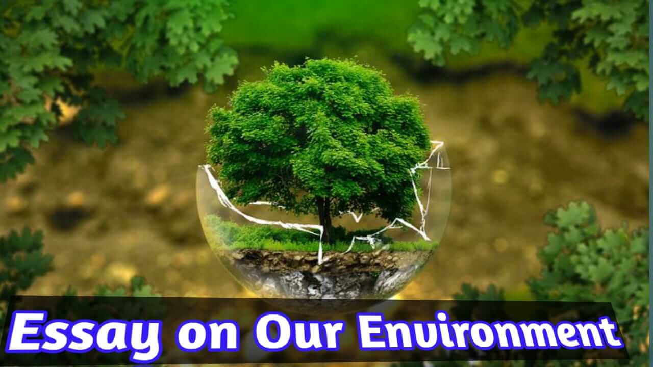 essay on the environment
